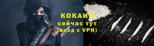 прущие грибы Иннополис