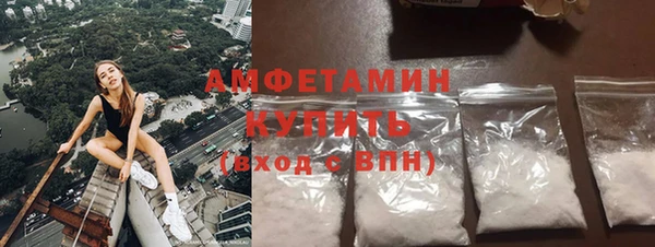 прущие грибы Иннополис